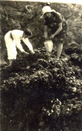 /medias/customer_2/NUMERISATION_2025/45 Fi Collection Pierre Allier/45_Fi_479_jpg_/0_0.jpg